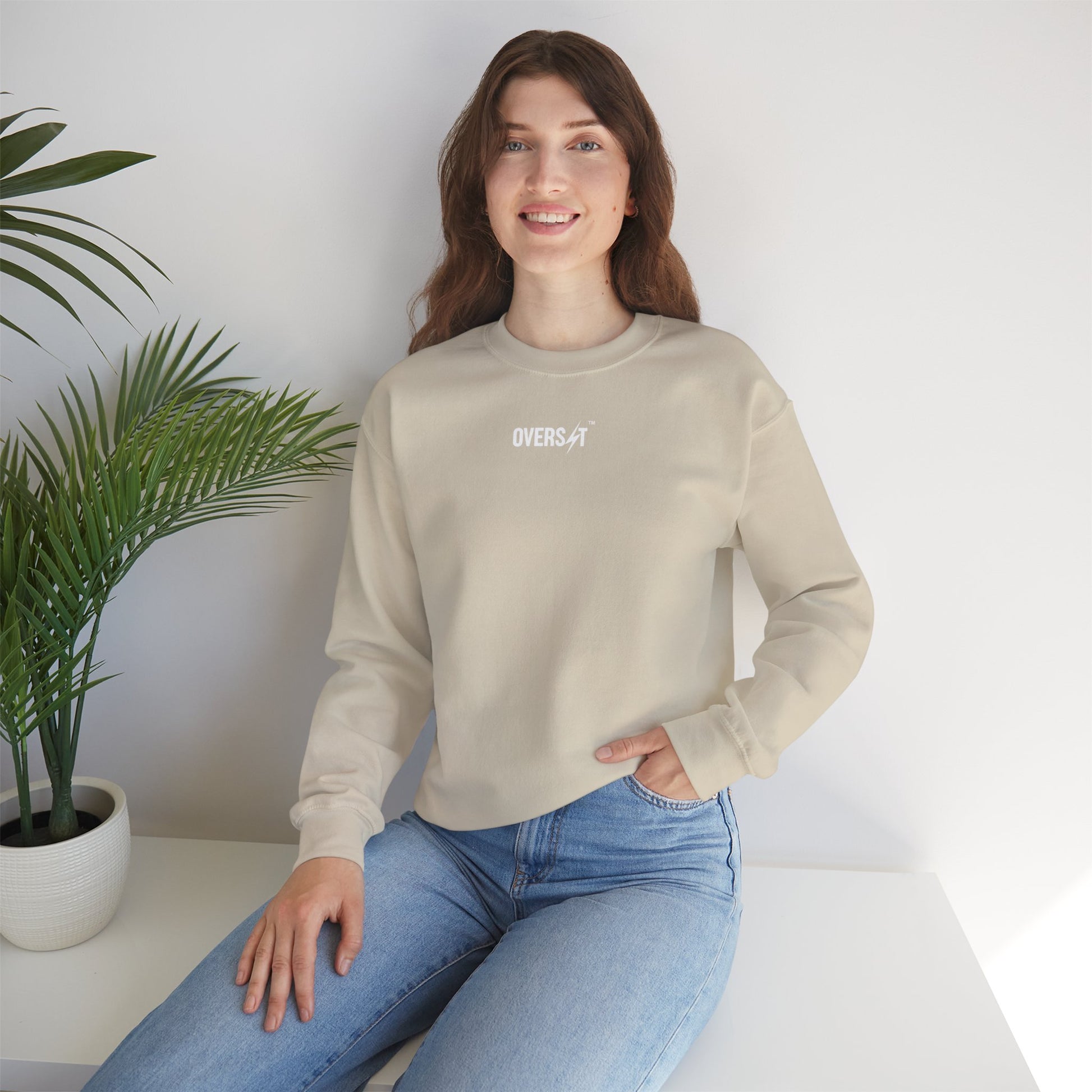Sweat Unisexe Confort Quotidien – Coupe Oversize, Style Streetwear Décontracté, Idéal pour l’Automne